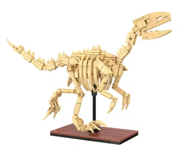 Fósil  de Velociraptor